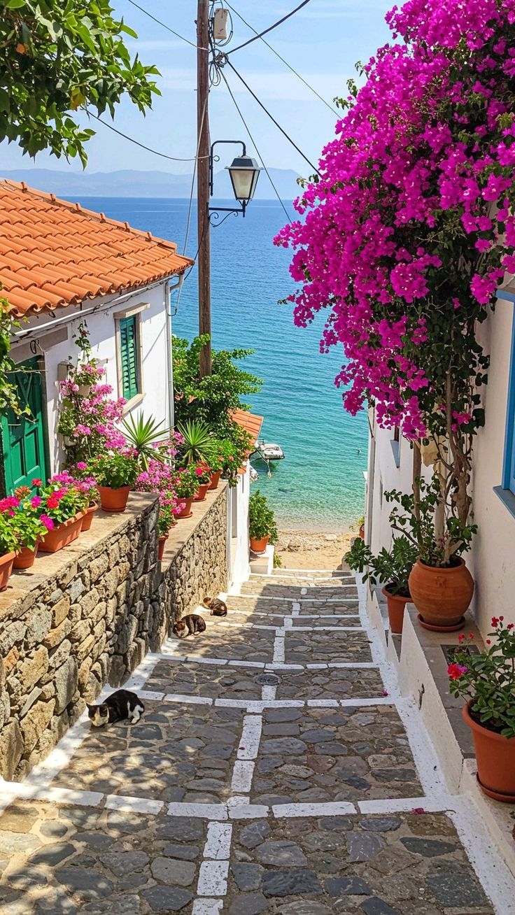 KONAKLAMALI AYVALIK- ÇANAKKALE TURU Fotoğrafları 